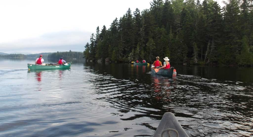 From the vantage point of a canoe, two other canoes are paddled ahead by people wearing life jackets. On the shore beside them are evergreen trees. 